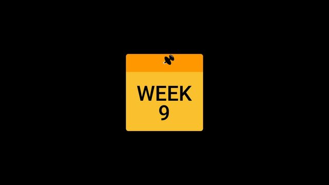 Week 9 Sticky note Animation