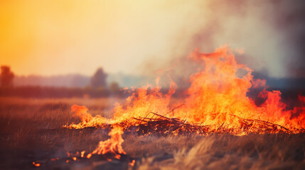 Dry grass burns on meadow in countryside at sunset. Wild fire burning dry grass in field. Orange flames and billowing smoke. Open fire.