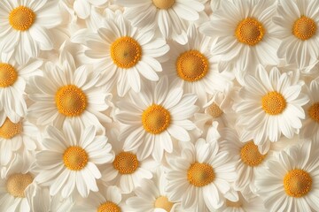 Fototapeta premium Charming Daisy Pattern Design