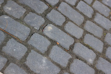 brick pavement on the sidewalk in the city