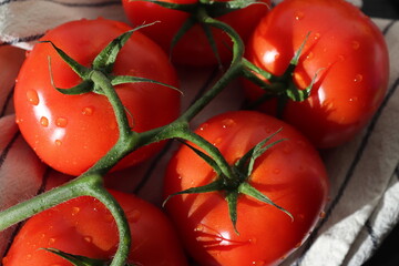 Fresh tomatoes with water drops on a kitchen towel.
