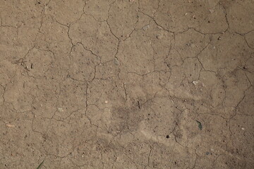 A cracked and weathered surface with a few small holes. The surface is brown and he is dirt