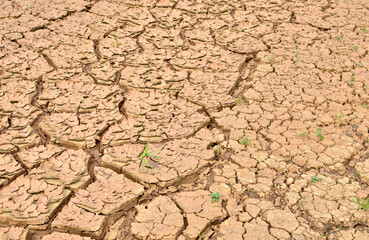 Cracked soil of earth due to climate change. Dry lake in process of drought, lack of rain, moisture. Global natural disaster. Hydrological drought, ecological catastrophy. Cracked soil due to drought.
