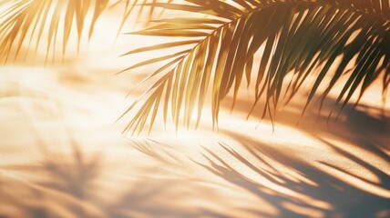 Obraz premium Warm light through blurred palms, soft shadows on sand creating calm vibes. Blurred view sandy beach palms