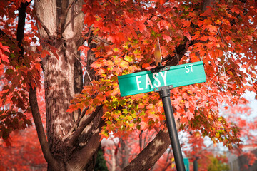 Sign points the way to easy street