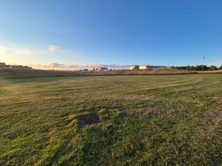Sunny Agricultural Landscape with Clouds and Plants
