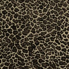 leopard texture, blurred background, fur, spots, wild cat print, fashion design