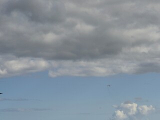Sky with Cumulus Clouds Over Grassland and Road