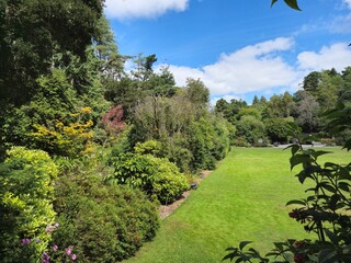 Park with beautiful trees and plants in Ireland, park zone