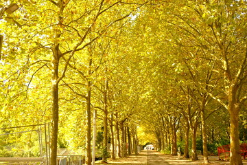 Naklejka premium Paris, France