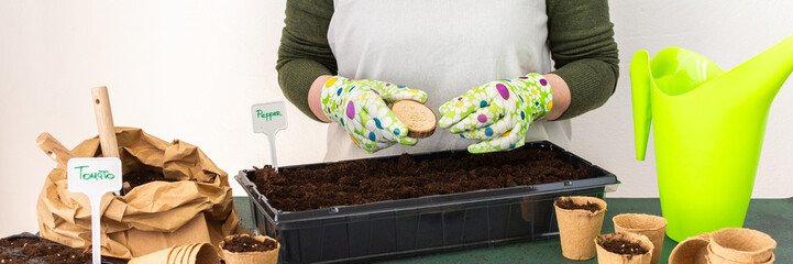 Woman planting tomato and pepper seeds on seedlings at home, wooden table with peat eco friendly...