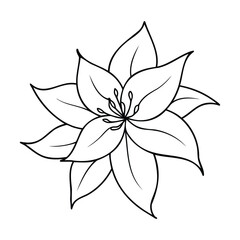 Line art of a clematis flower with detailed petals and stamens