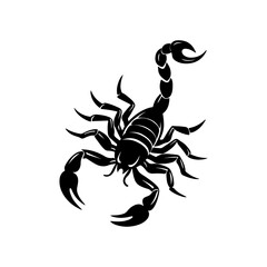 scorpion silhouette, black and white silhouette, vector and illustration