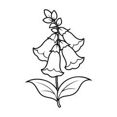 A black and white line art illustration of a foxglove flower with bell-shaped blooms and leaves © Nayon