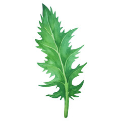 Watercolor Green Leaf Botanical Illustration Nature Plants Greenery Foliage