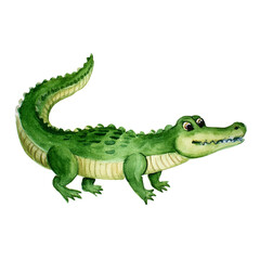Fototapeta premium Adorable Green Alligator Watercolor Illustration Reptile Wildlife Cartoon Animal