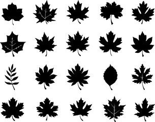 Elegant Autumn Leaves in Silhouette