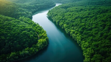 Obraz premium Aerial view of a winding river surrounded by lush green forests.
