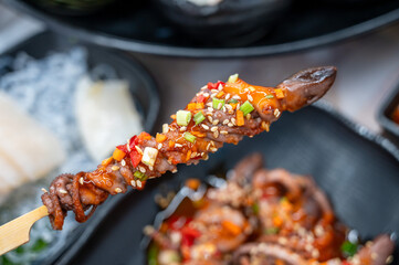 Korea food. Grilled Whole Octopus