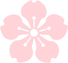 Cherry blossoms Flowers