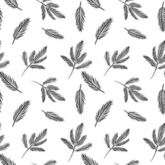 pine leaf seamless pattern. black and white nature themed background texture for decoration or printing. 