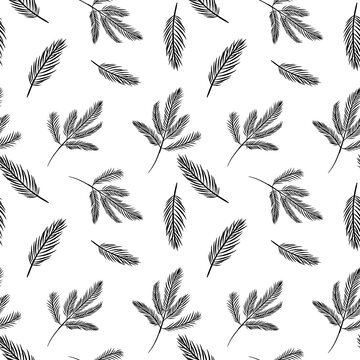 pine leaf seamless pattern. black and white nature themed background texture for decoration or printing. 