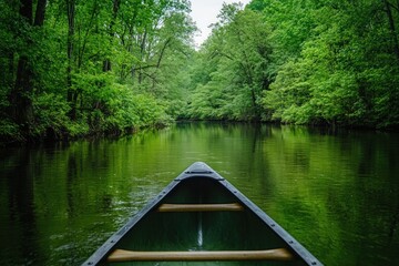 Fototapeta premium Serene Canoe Ride Through Lush Green River