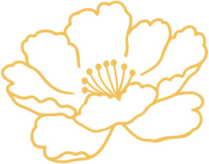 Chinese Peony flower Line Art
