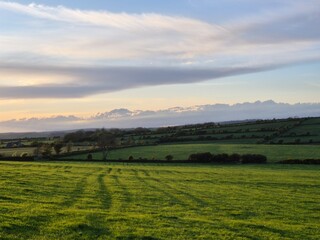 Cloudy Sky Over a Green Grassland with Trees and Sunlight