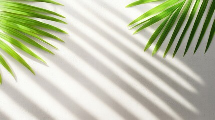 Fototapeta premium Green Tropical Leaves with Dramatic Shadows on Light Background Surface