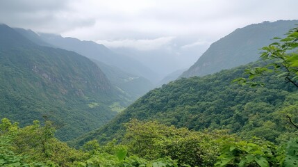 Obraz premium Serene Mountain Valley Surrounded by Lush Green Forest and Foggy Sky