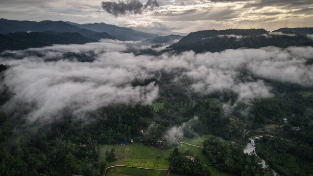 The aerial view of the Sinharaja Reserve in Sri Lanka