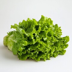 Fresh green leafy lettuce on white background.