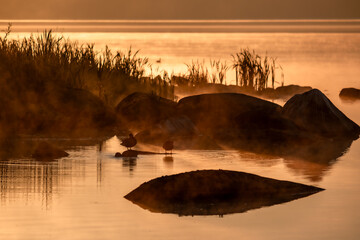Fog over the lake in the early morning.