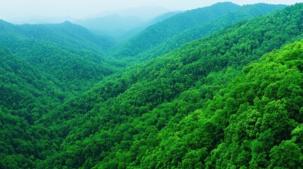 Naklejka premium Lush Green Mountain Landscape with Vibrant Forest and Rolling Hills in the Distance
