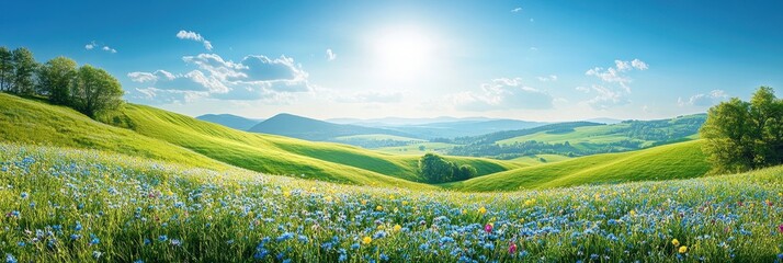 Fototapeta premium Vibrant Meadow Landscape, Tall Grasses & Yellow Flowers, Rural Area with Rolling Hills, Stock Photography for Travel, Nature, Lifestyle