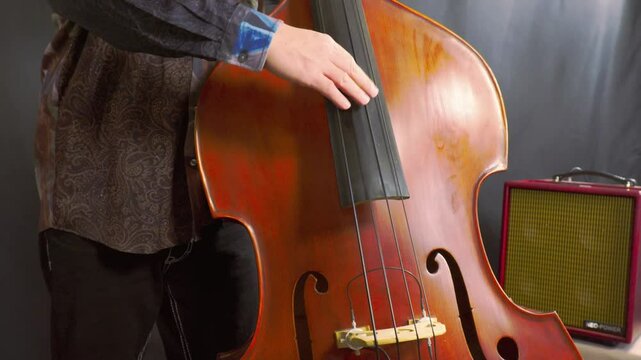 musician playing Wood bass, Contrabass, pizzicato