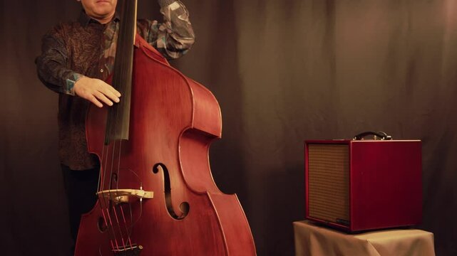 Wood bass, Contrabass,pizzicato, Playing ,man