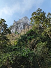 Cliff in the clouds in the thai jungle