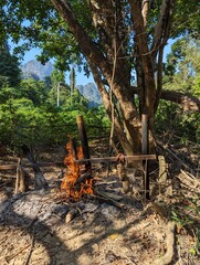 Fire in the middle of the Thai forest