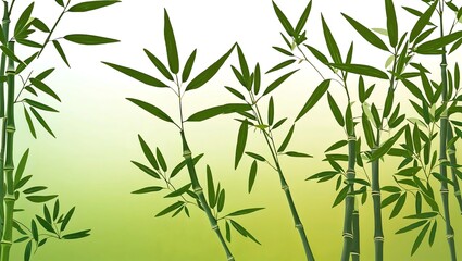 Fototapeta premium Bamboo leaf background