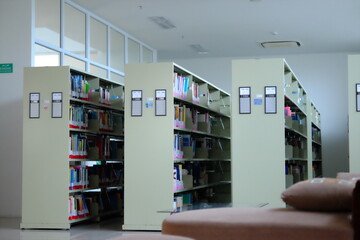 A visually appealing arrangement of books on a library shelf, featuring a variety of book types and colors