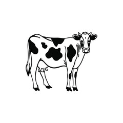cow vector art and illustration