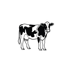 cow vector art and illustration
