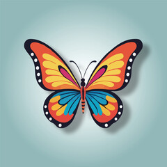 butterfly illustration