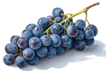 black grape close-up