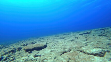 Fototapeta premium Underwater Scene of Rocky Ocean Floor with Sunlight and Clear Water