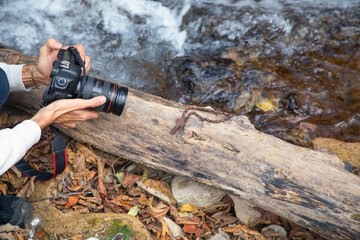 Photographer holding a digital camera taking pictures in nature.