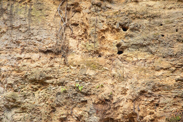 Stone background or texture. Outdoors stone