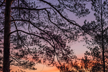 The sky is a beautiful mix of orange and purple hues